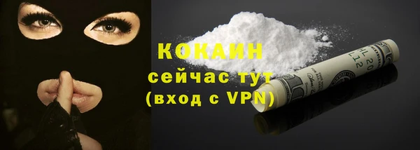 молекула духа Арсеньев