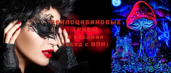 спайс Баксан